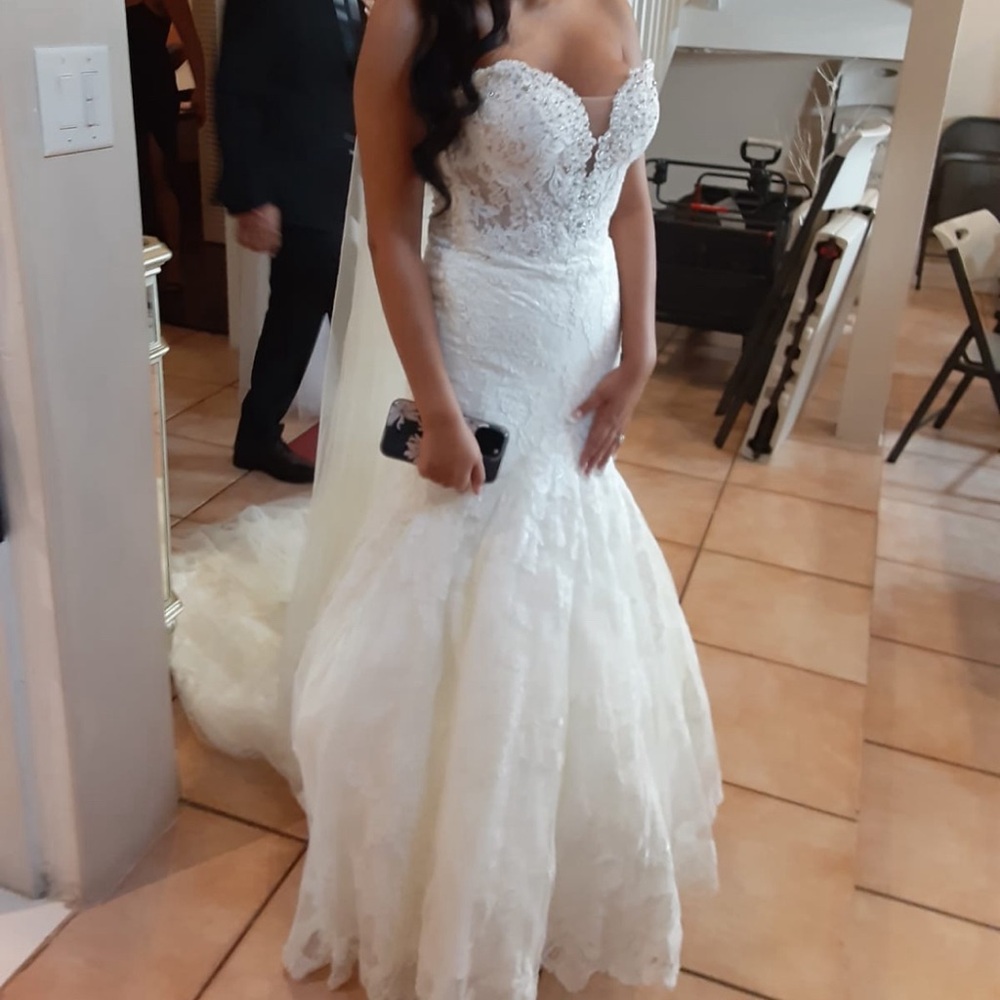 Pronovias Imelda Wedding Gown - Picture 12 of 16